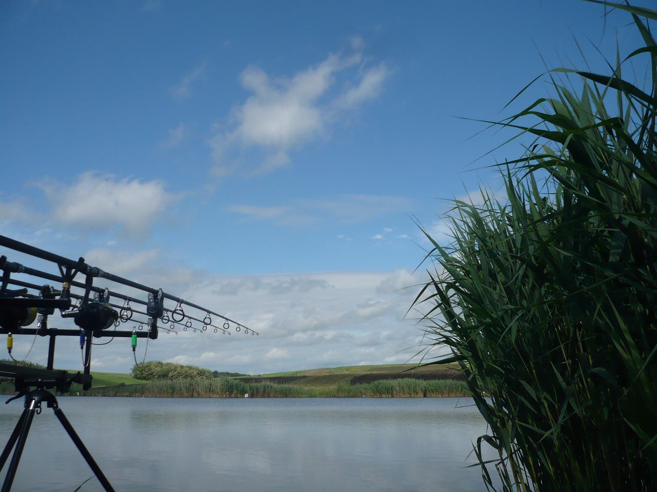 Magura 9 - 16.MAI.2014 - p1020369.JPG